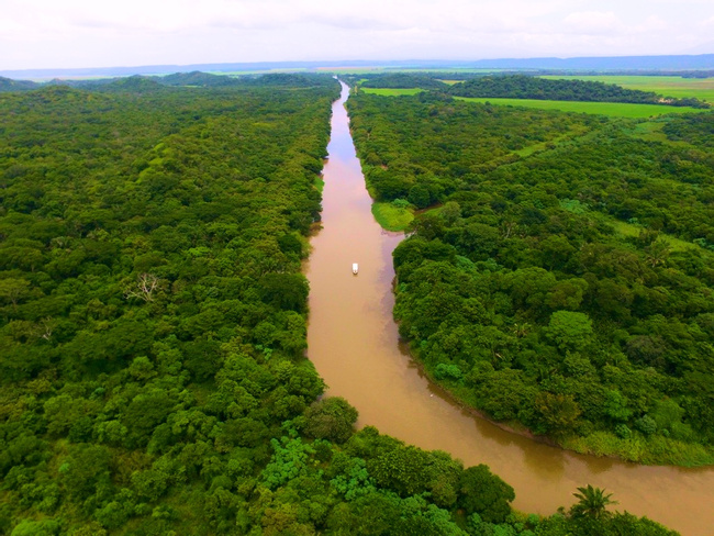 Palo Verde Boat Expedition Photo